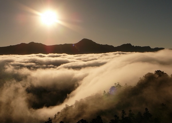 【清境旅遊行程推薦】     國民體驗版五日(含住宿)........<font color=FF0000 size=2>編號5c68t